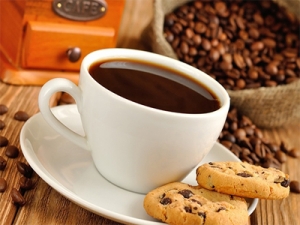 Vitae enim hendrerit egestas