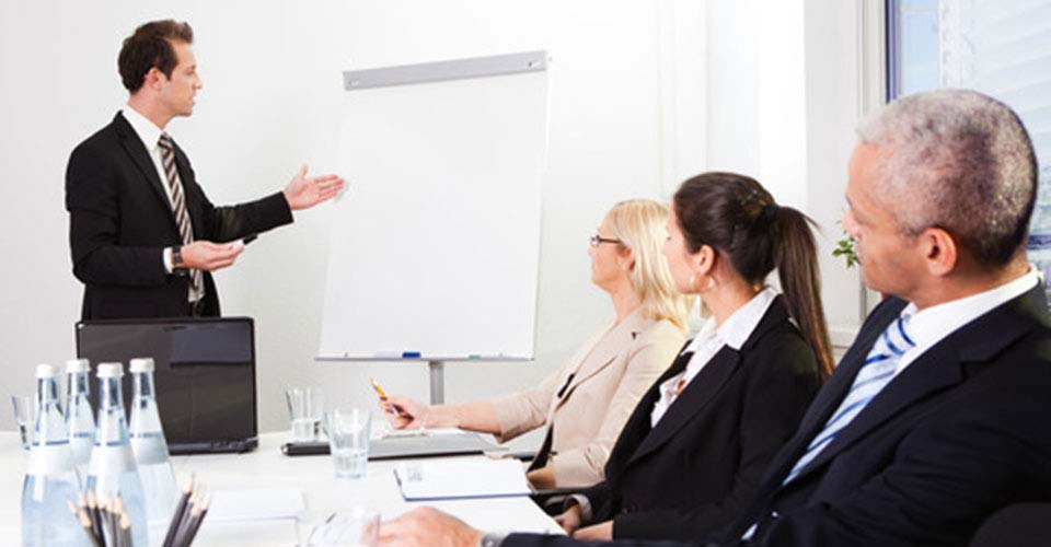 Tempus feugiat sapien