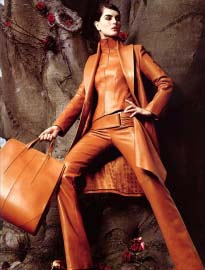 Vestibulum lacus congue