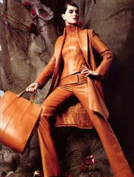 Vestibulum lacus congue