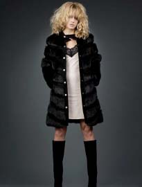 Vehicula porta porttitor