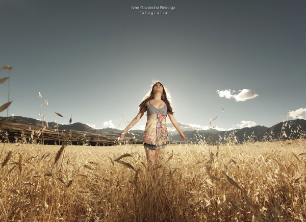 Nunc malesuada posuere