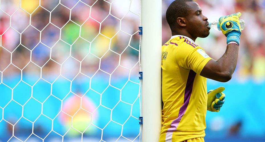 Feugiat feugiat enim volutpat