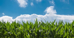 Height differences caused by DNA changes