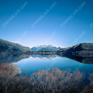 Image Gallery