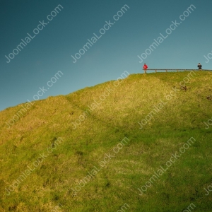 Image Gallery