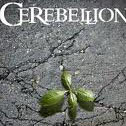 Cerebelion