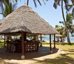 Nam feugiat porttitor