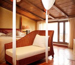 Tellus erat hendrerit